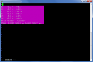 Vim on BSD with Putty