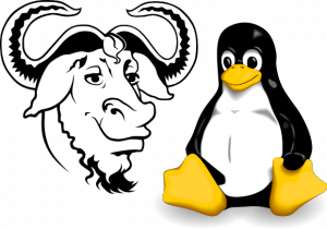 From: https://santosoantonius.files.wordpress.com/2012/03/620px-gnu_and_tux-svg.png
